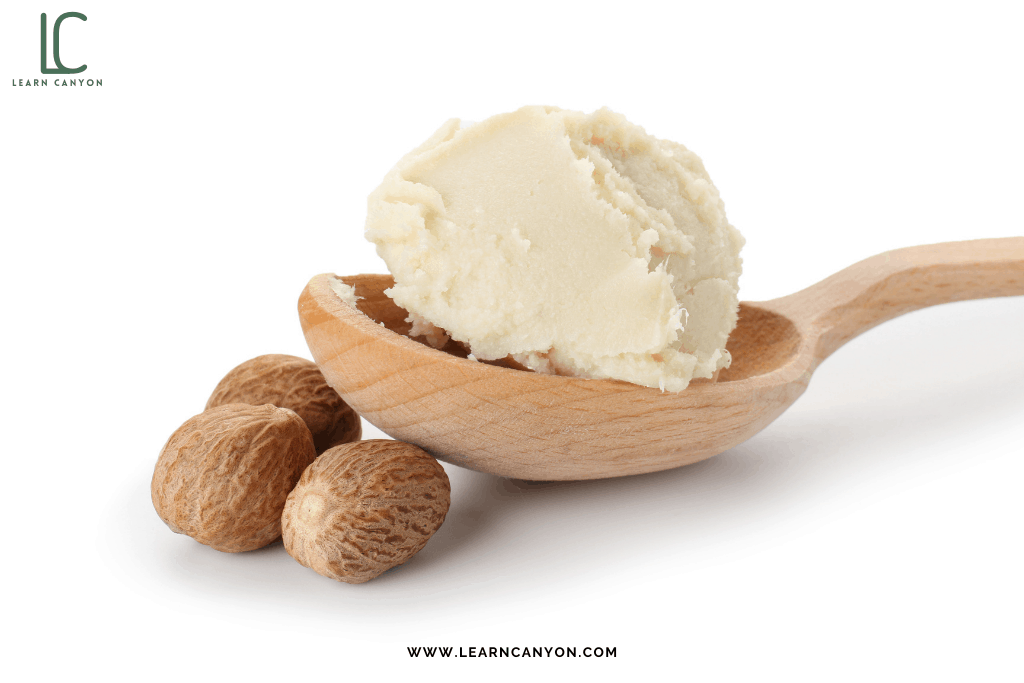 Natural Butters For Skin And Hair Care That You Need To Add To Your