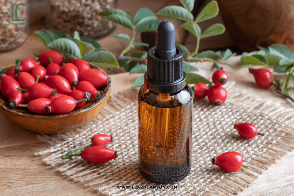 What Is Rosehip Oil Best For? Know How To Use It In Facial Oil Serum!