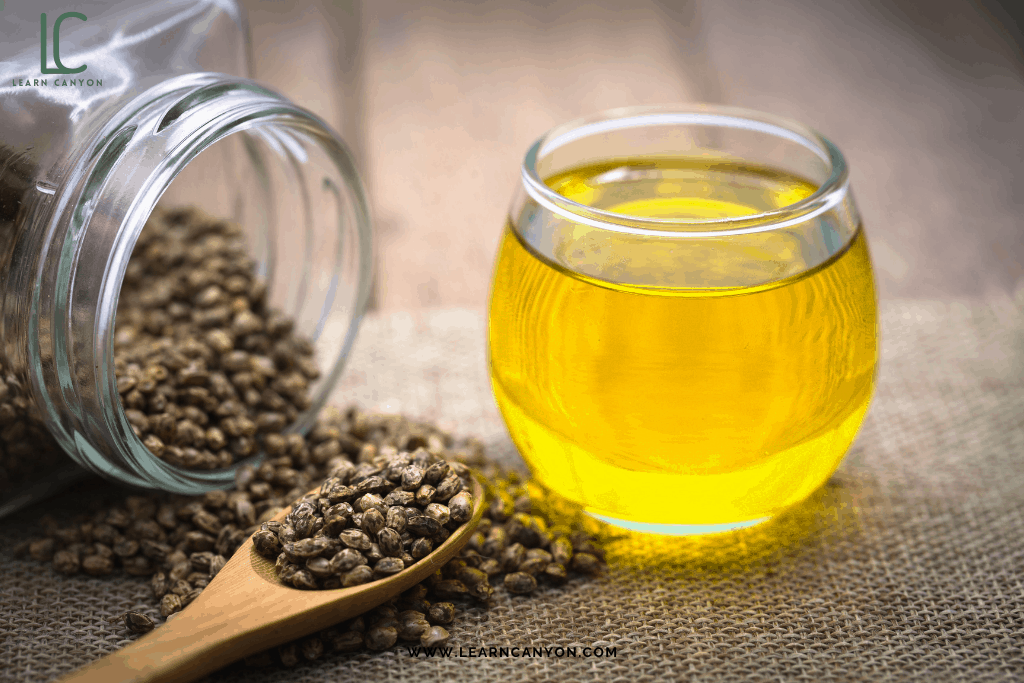 What’s the hype about Hempseed oil and why you should formulate with it? | Learn Canyon