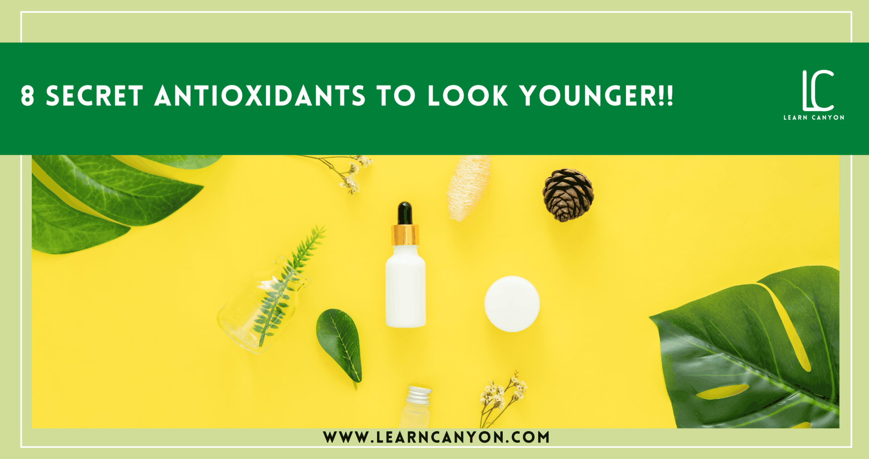 8 Secret Antioxidants To Look Younger!!