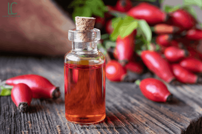 What Is Rosehip Oil Best For? Know How To Use It In Facial Oil Serum!