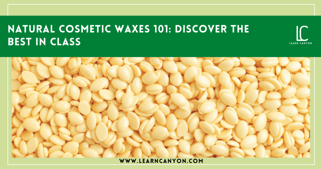 natural cosmetic waxes 101: discover the best in class
