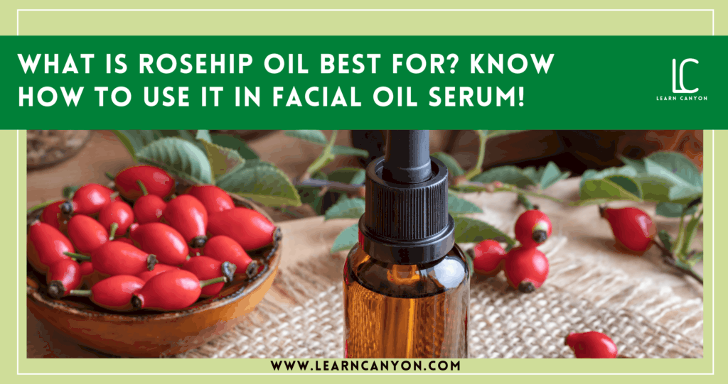 what us rosehip oil best for? Know how to use it in facial oil serum!