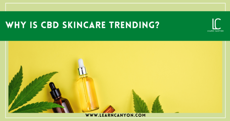 Why Is CBD Skincare Trending? | Learn Canyon