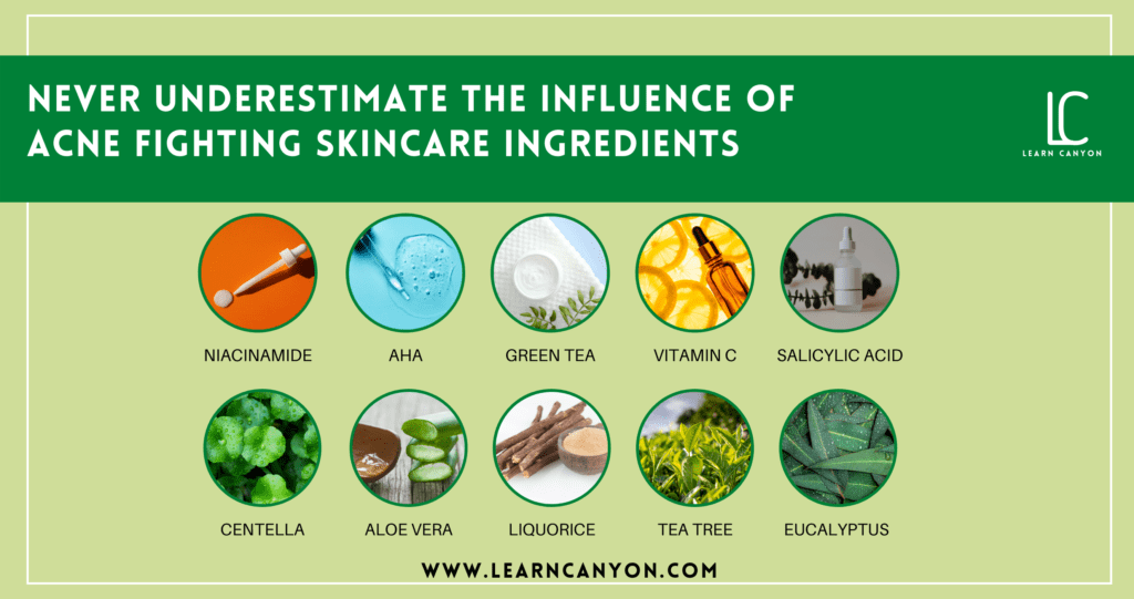 Acne-Fighting Skincare Ingredients