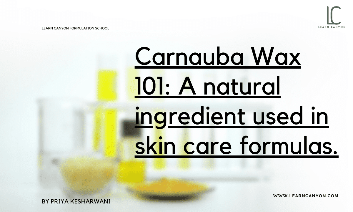 Best Benefits of Natural Candelilla Vegetable Wax for Hair & Skin