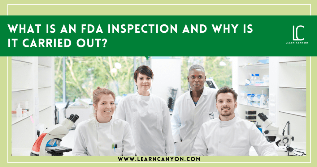 What is am FDA inspection