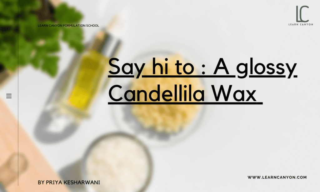 https://learncanyon.com/wp-content/uploads/2022/04/Say-hi-to-_-A-glossy-Candellila-Wax--1024x614.png