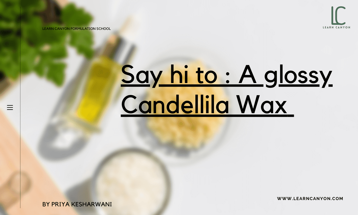 Candelilla Wax: Discover its Benefits and Uses in the Industry!