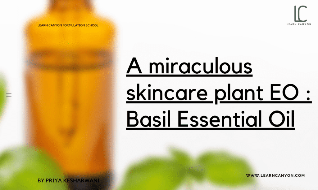 Basil Essential Oil