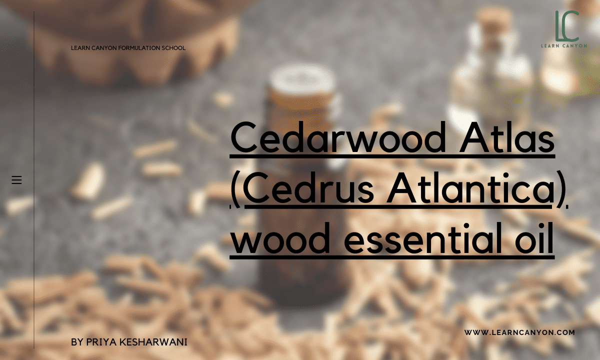 Cedarwood Atlas Essential Oil Learn Canyon