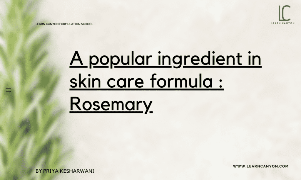 A popular ingredient in skin care formula _ Rosemary
