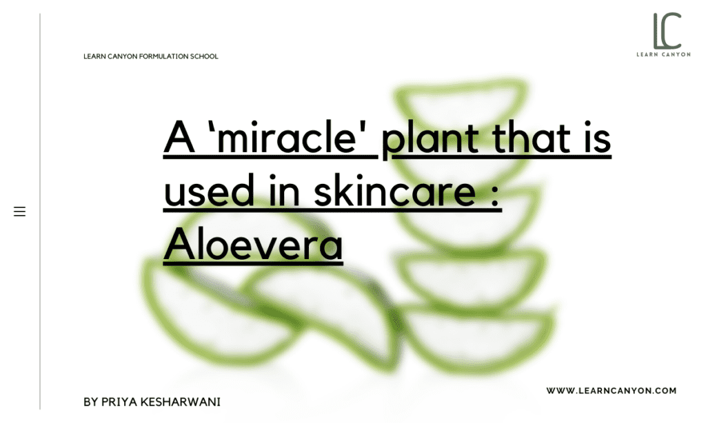 ' plant that is used in skincare _ Aloevera
