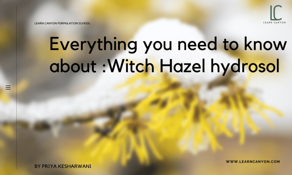 Everything you need to know about Witch Hazel hydrosol