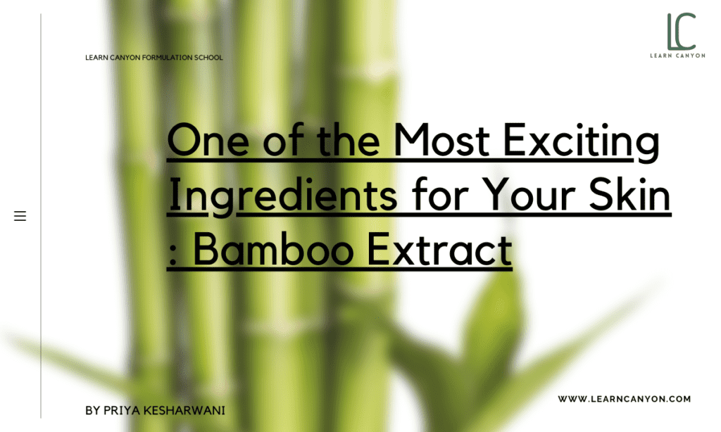 One of the Most Exciting Ingredients for Your Skin - Bamboo Extract