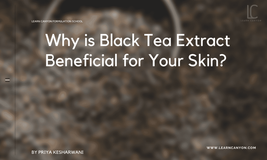 Why is Black Tea Extract Beneficial for Your Skin