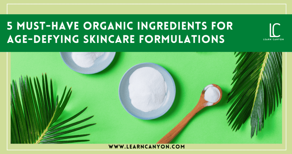 5 Must-Have Anti-Aging Ingredients in Skincare Formulation