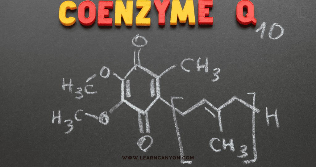 Coenzyme Q10- The Unsung Anti-Aging Warrior