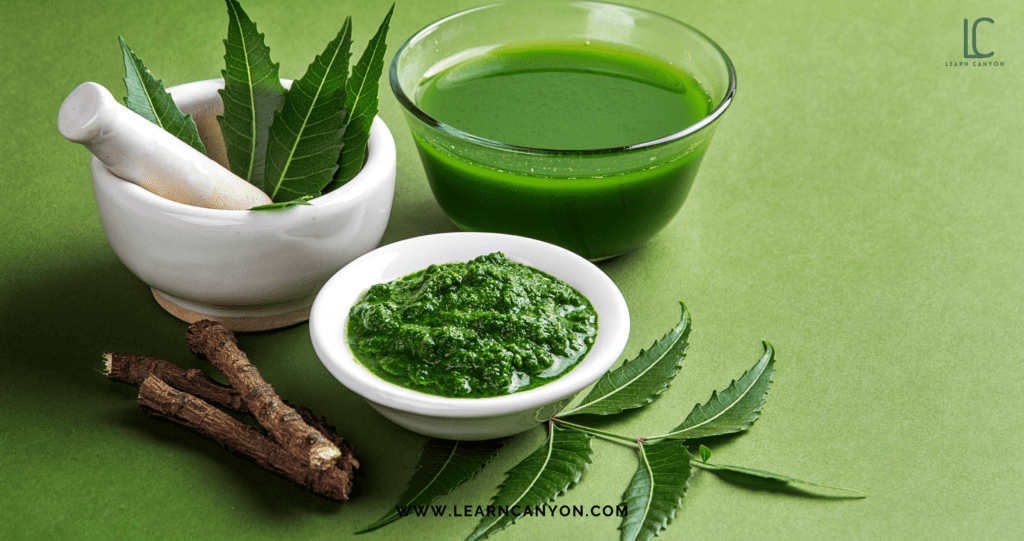 NEEM LEAVES POWDER OR EXTRACT