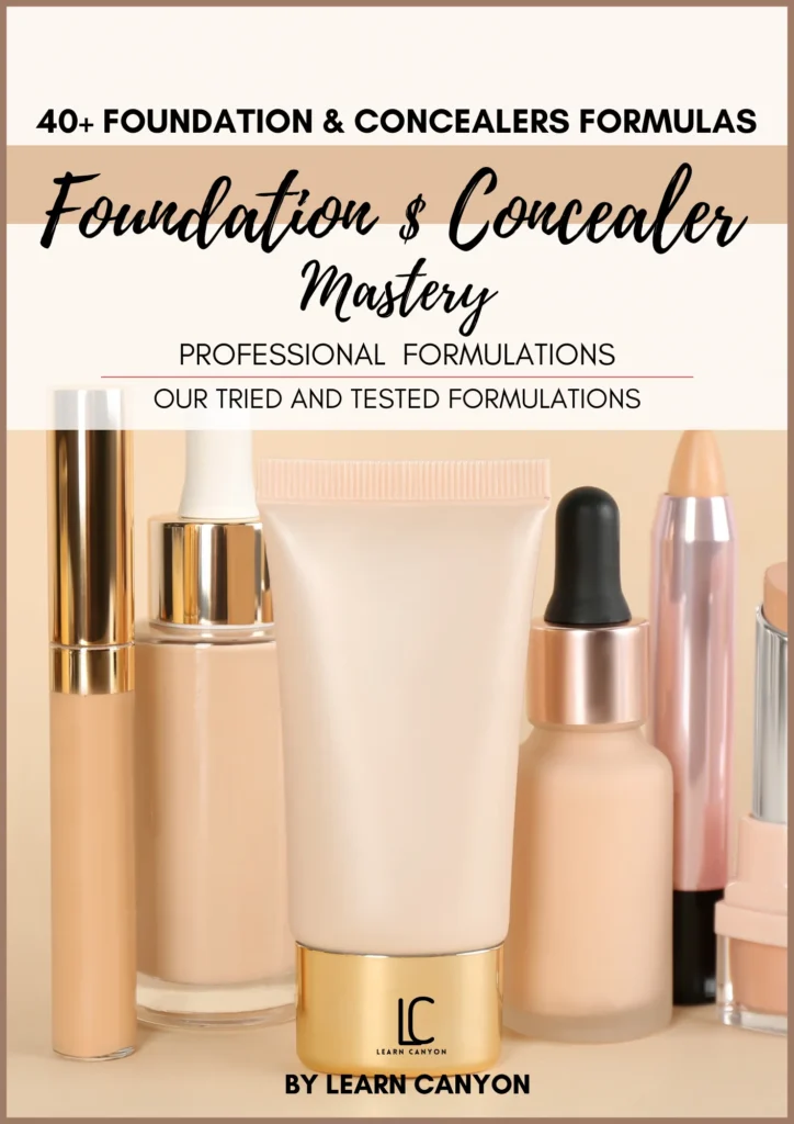 Foundation and Concealer E book 1