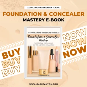 Foundation and Concealer Mastery Ebook