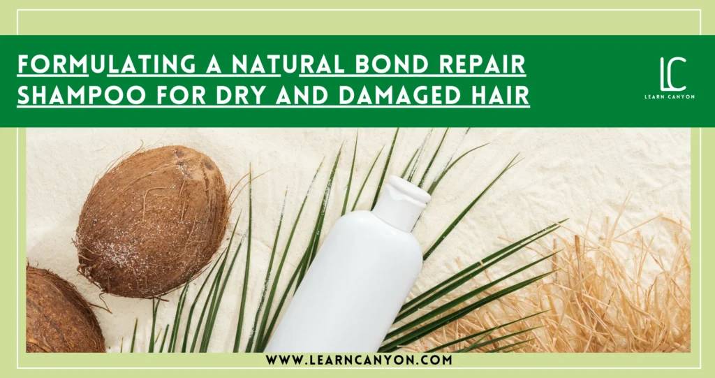 How to Formulate Natural Bond Repair Shampoo for Dry Hair