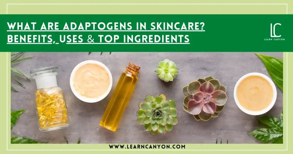 What Are Adaptogens in Skincare? Benefits, Uses & Top Ingredients