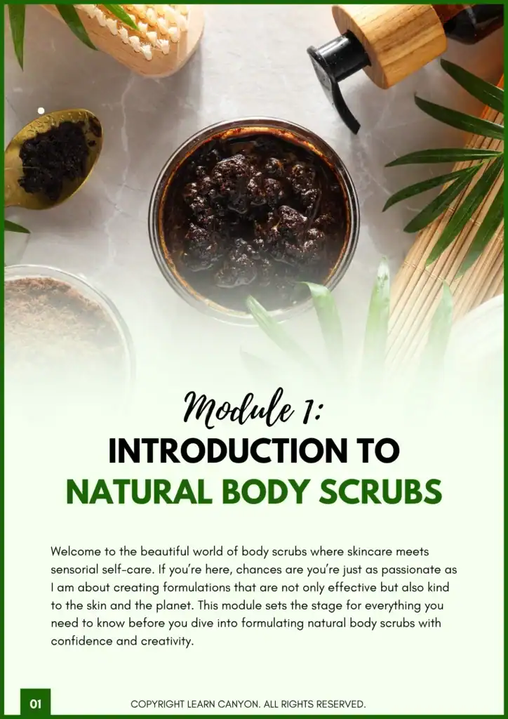 Mod 1 Body Scrub ebook