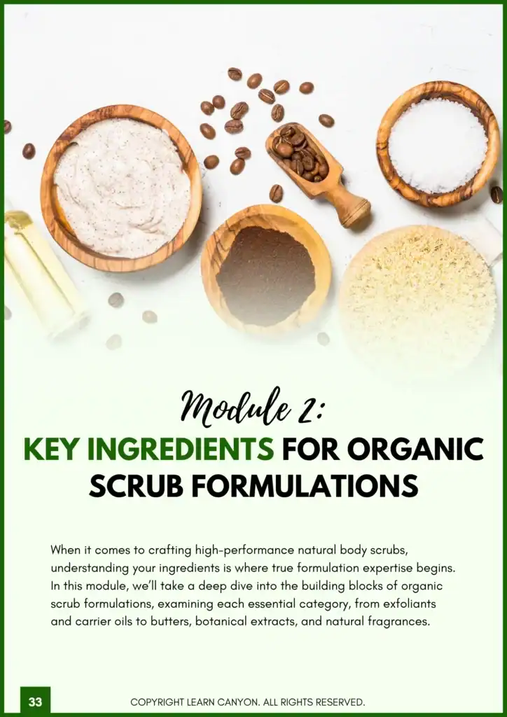 Mod 2 Body Scrub ebook
