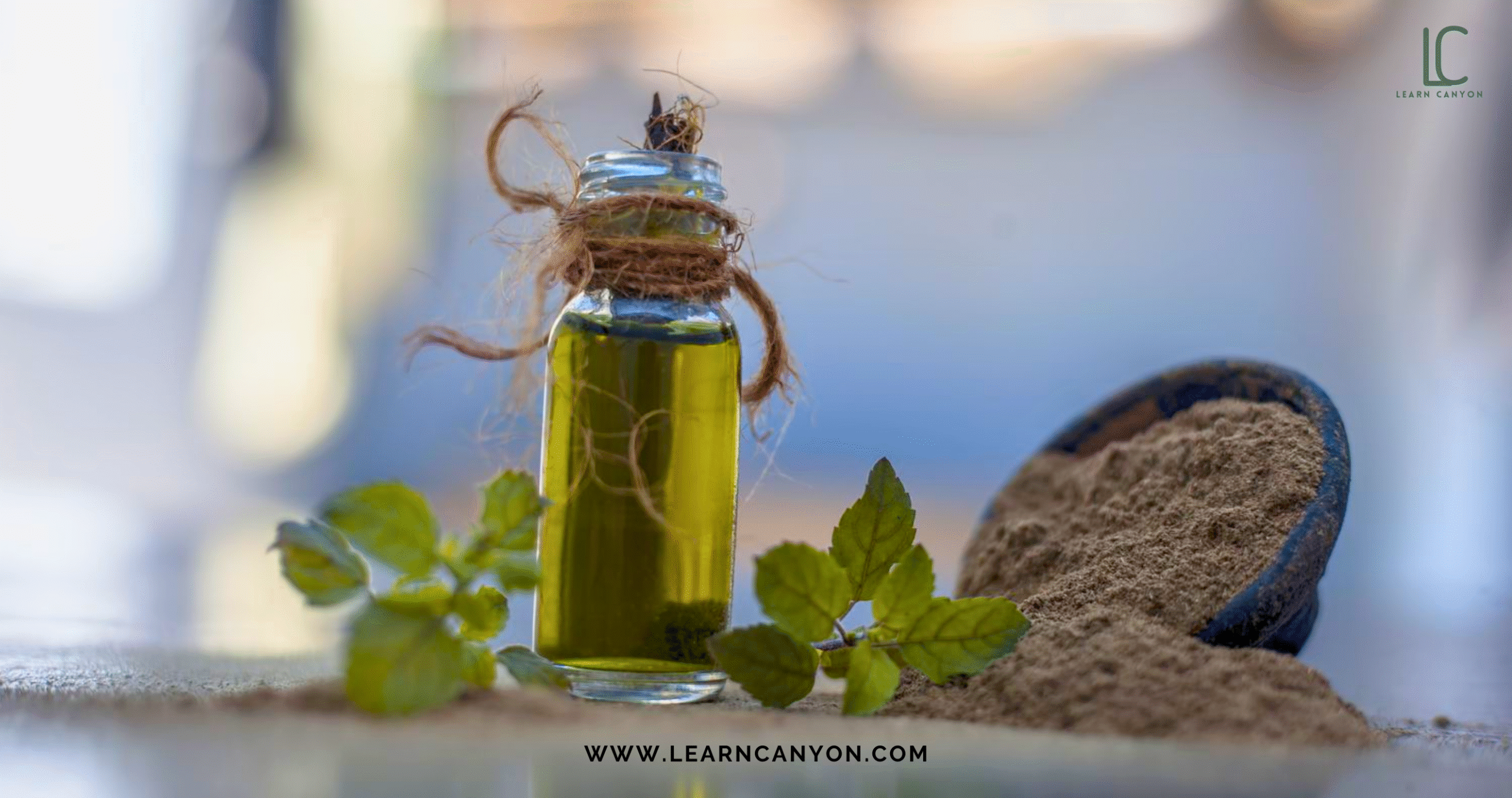 Unlock the Ayurvedic Secret to Lustrous Hair with Brahmi Oil 1 Brahmi Oil