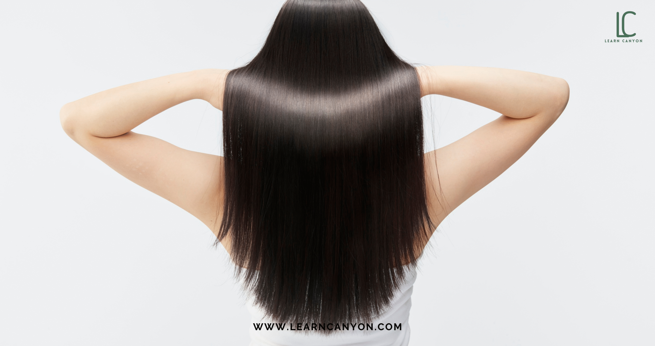 Unlock the Ayurvedic Secret to Lustrous Hair with Brahmi Oil 4 Brahmi Oil