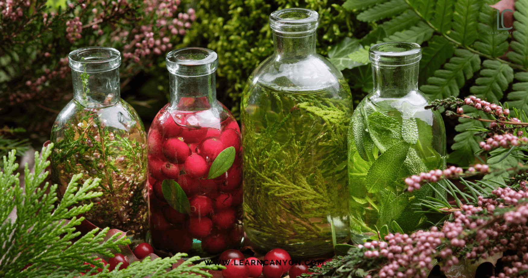 Herbal Infusion Techniques Every Formulator Should Know 3 Herbal Infusion