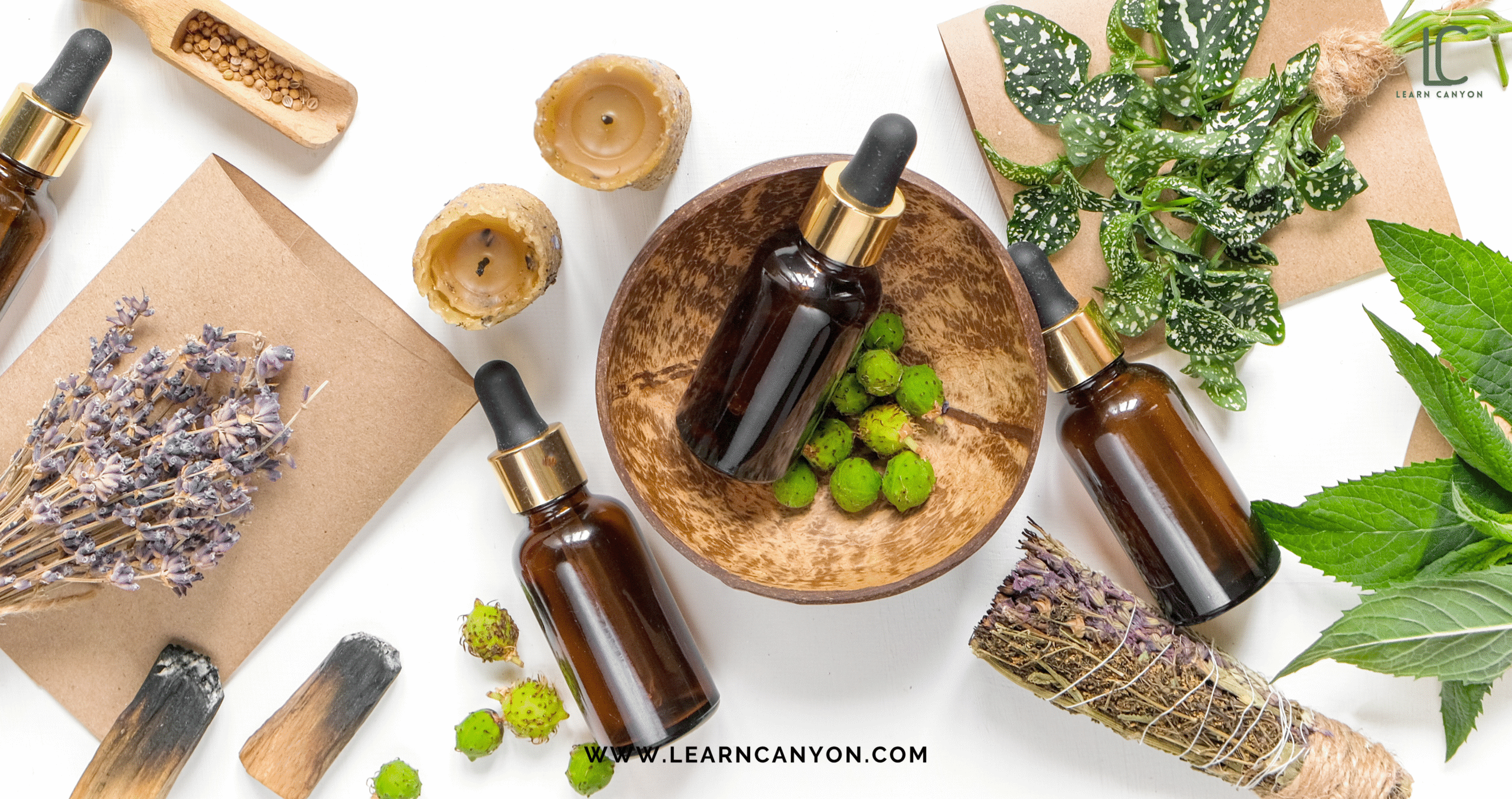 Is Ayurveda Just Ancient Wisdom or Scientifically Valid? 3 Ayurveda