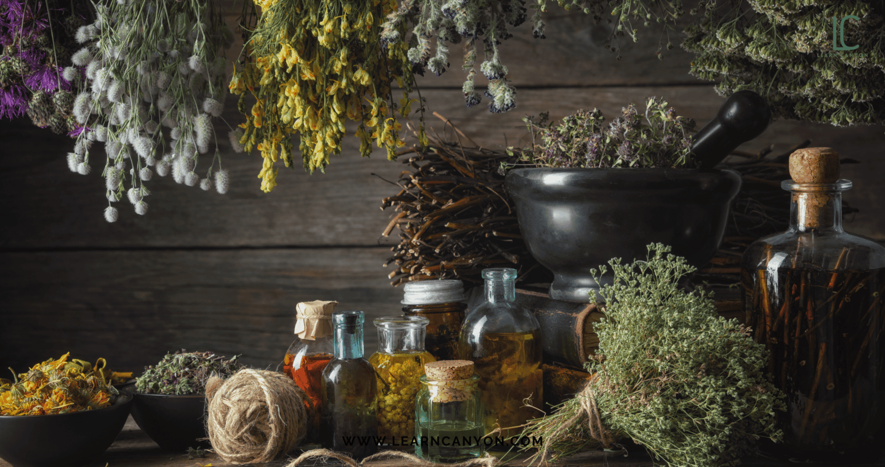 Herbal Infusion Techniques Every Formulator Should Know 1 Herbal Infusion