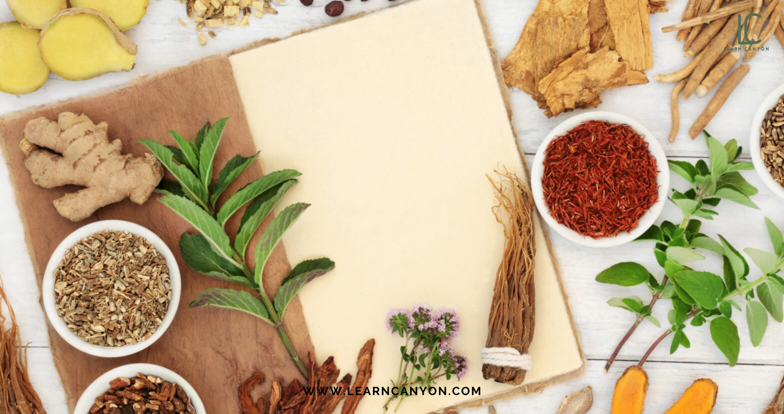 Is Ayurveda Just Ancient Wisdom or Scientifically Valid? 1 Ayurveda
