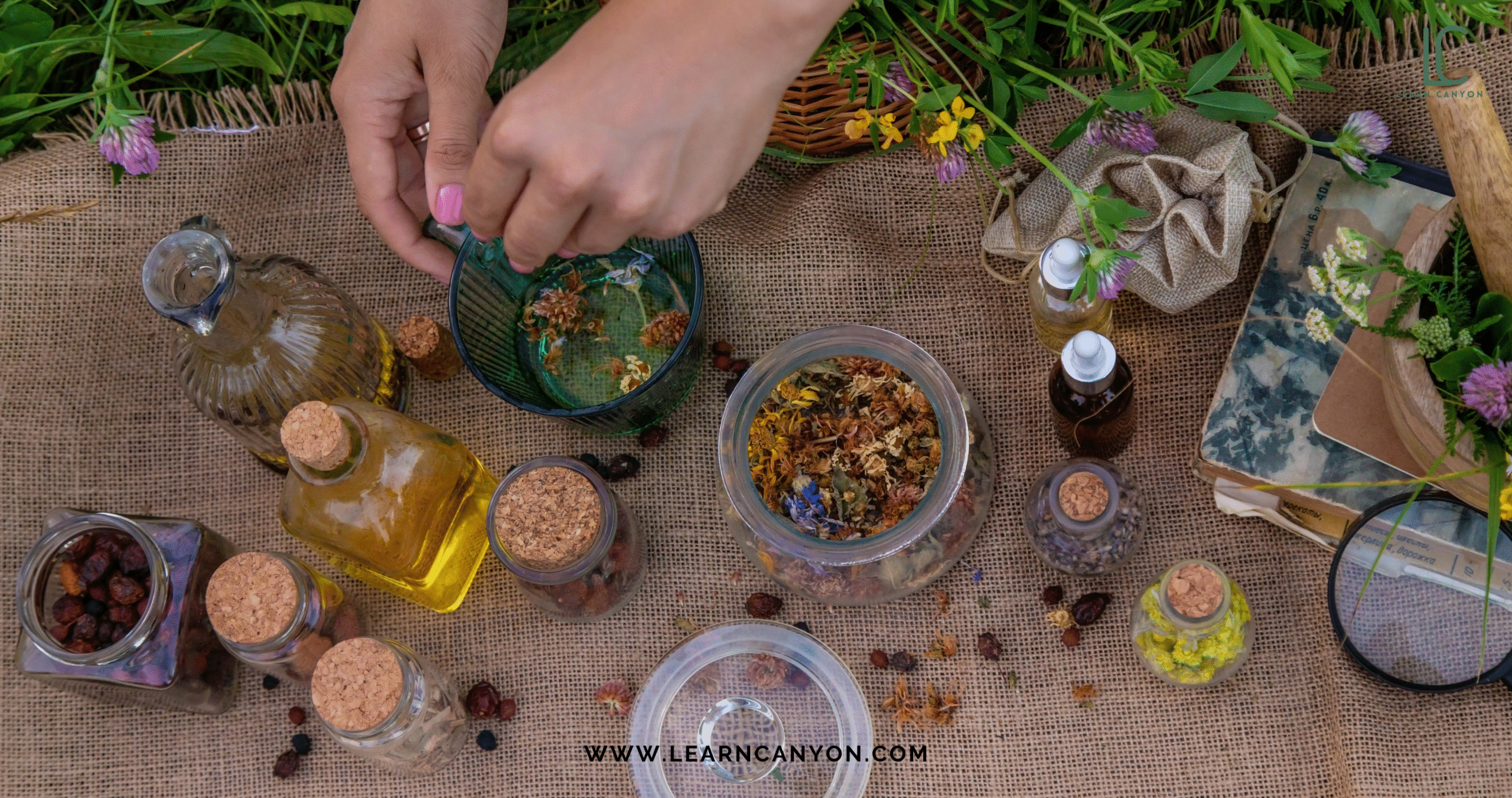 Is Ayurveda Just Ancient Wisdom or Scientifically Valid? 2 Ayurveda