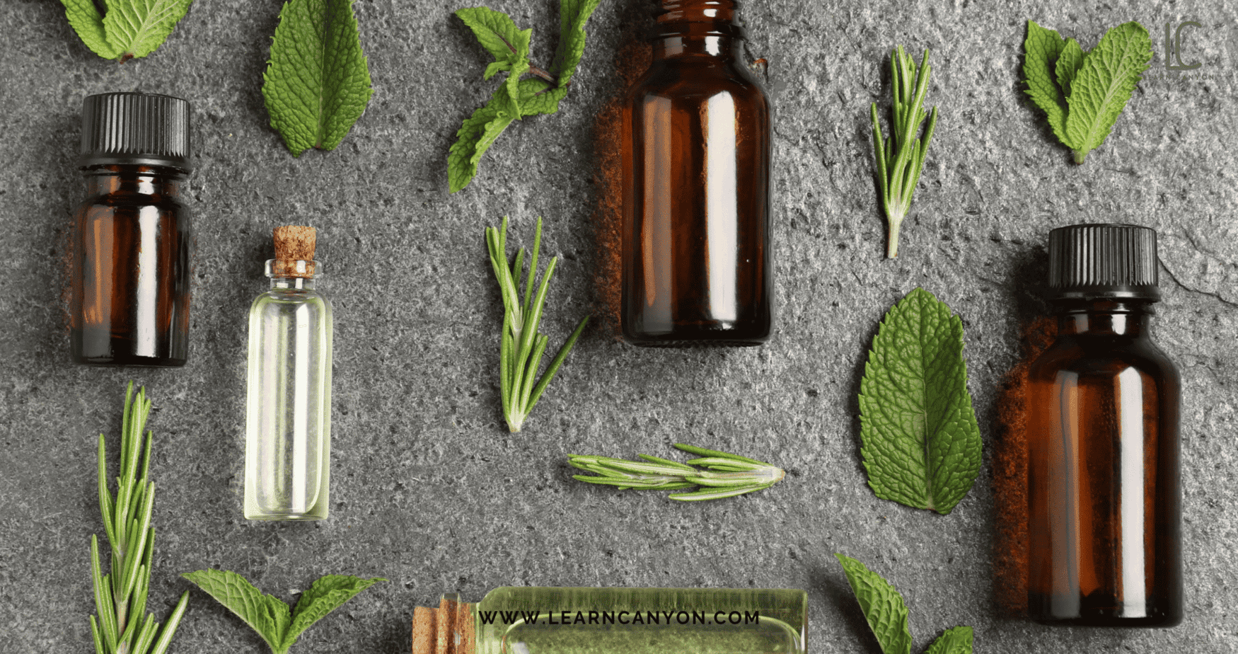 Ayurvedic herbs for hair