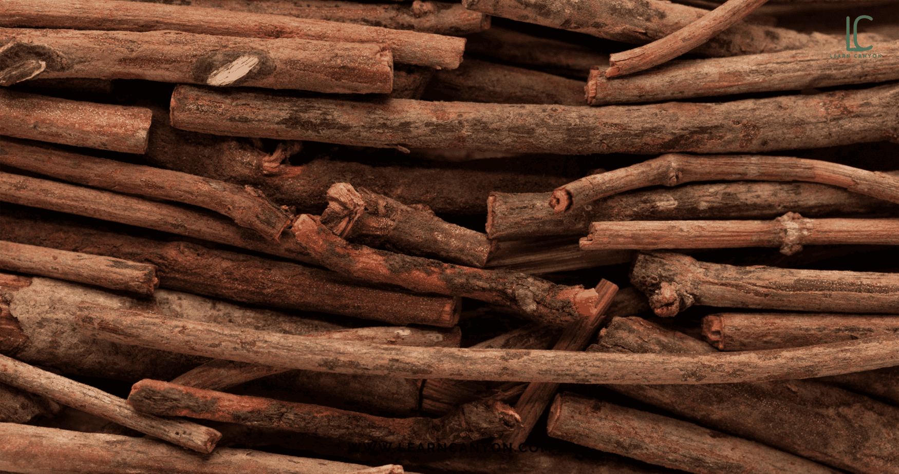 3 Ayurvedic Ingredients That Make Any Skincare Formula Shine 2 Ayurvedic Skincare Ingredients