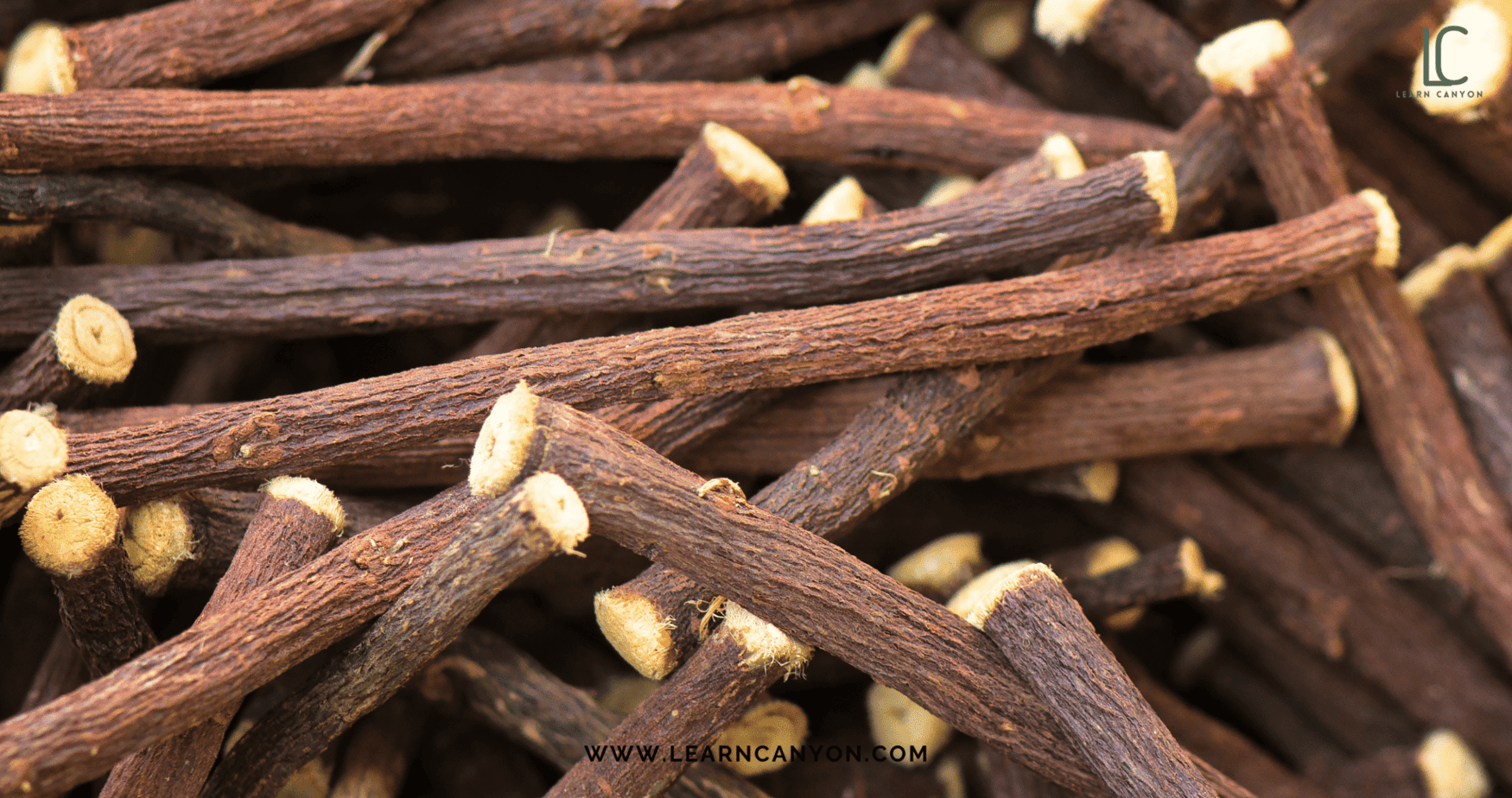 3 Ayurvedic Ingredients That Make Any Skincare Formula Shine 3 Ayurvedic Skincare Ingredients