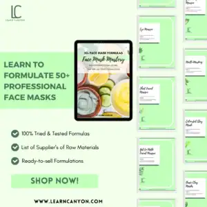 Face Mask Mastery Ebook