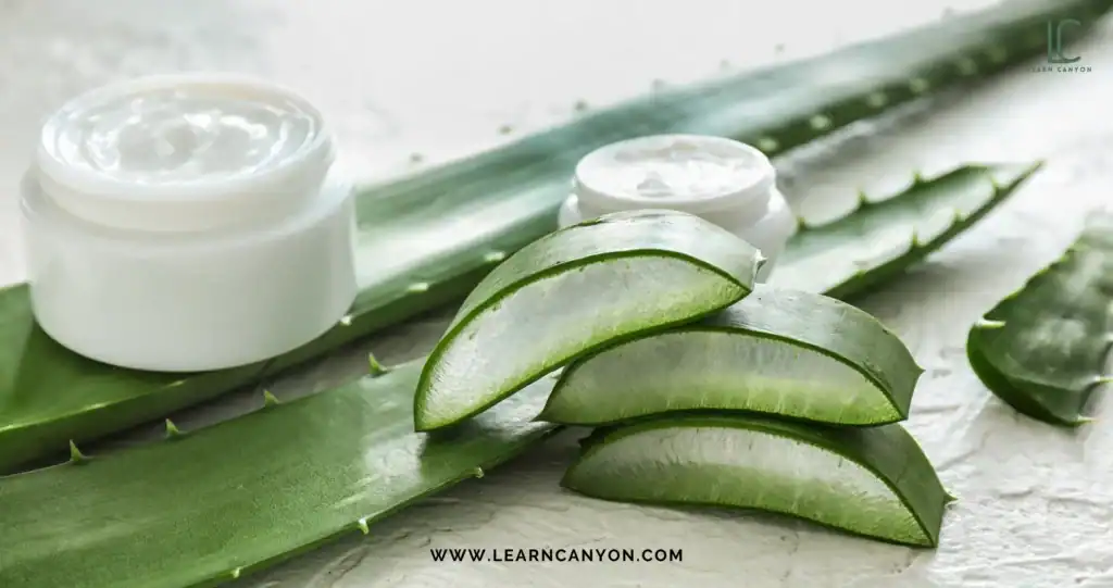 Formulate an Aloe-Infused Moisturizer for Hydrated & Glowing Skin 1 Choosing the Right Aloe – Gel Juice Powder or Extract