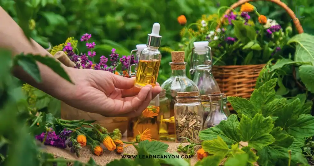 Cosmetic Ingredients: Oils, Butters, Waxes & Actives 1 What Are Cosmetic Actives