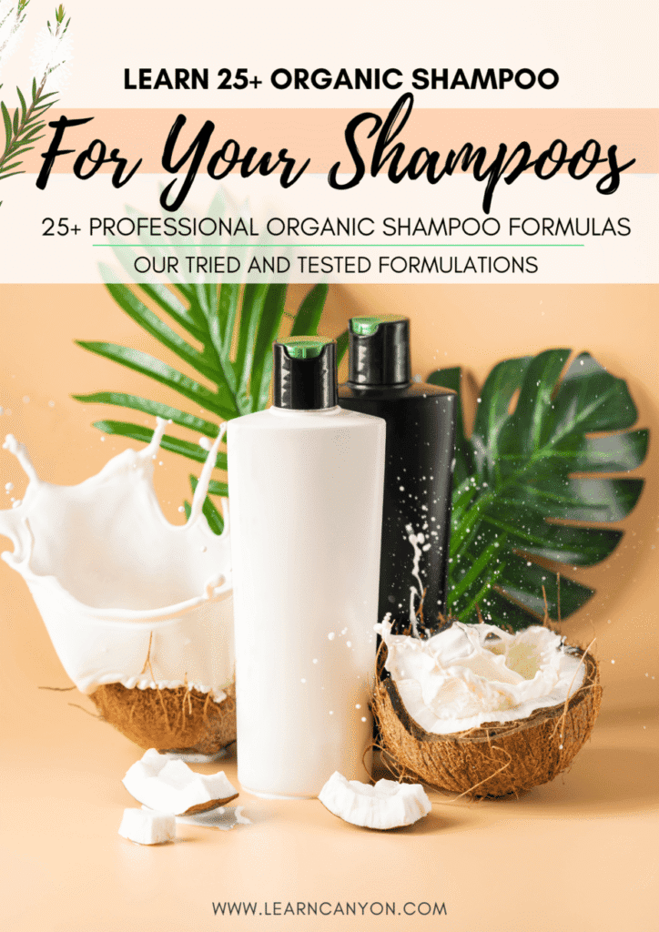 Shampoo ebook 1 210 × 297mm