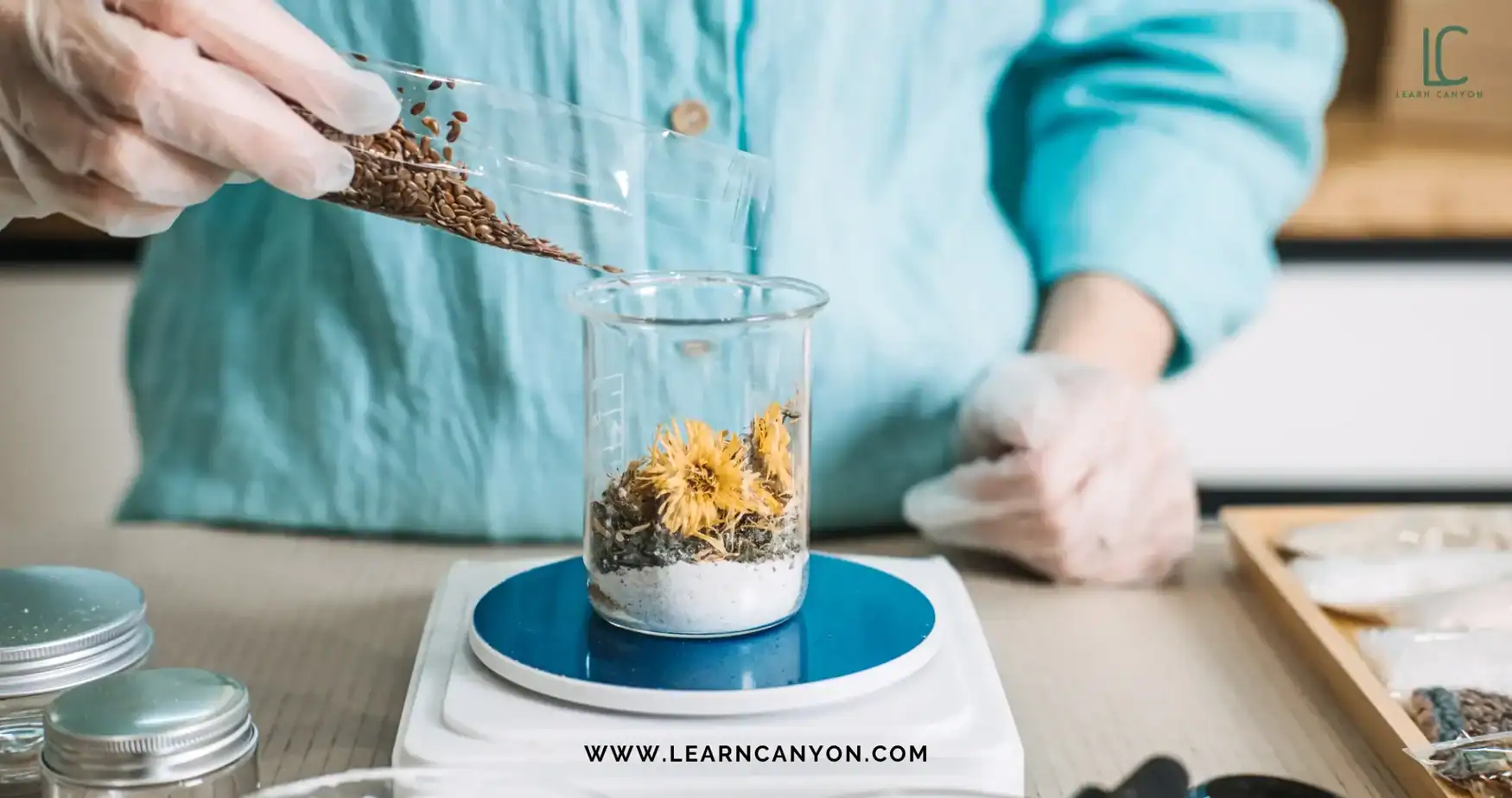 Understanding cosmetic ingredient categories and functions - beginner formulation guide